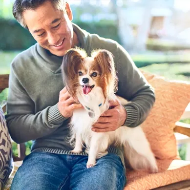 dog