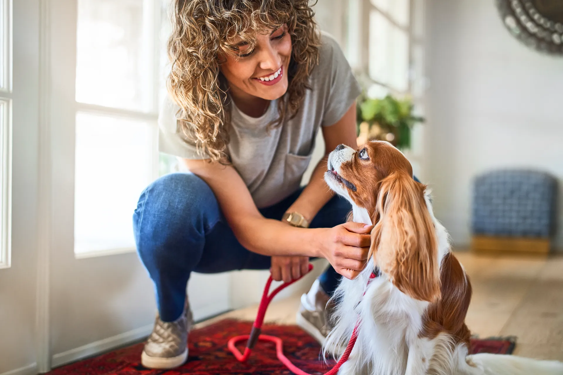 dog and owner