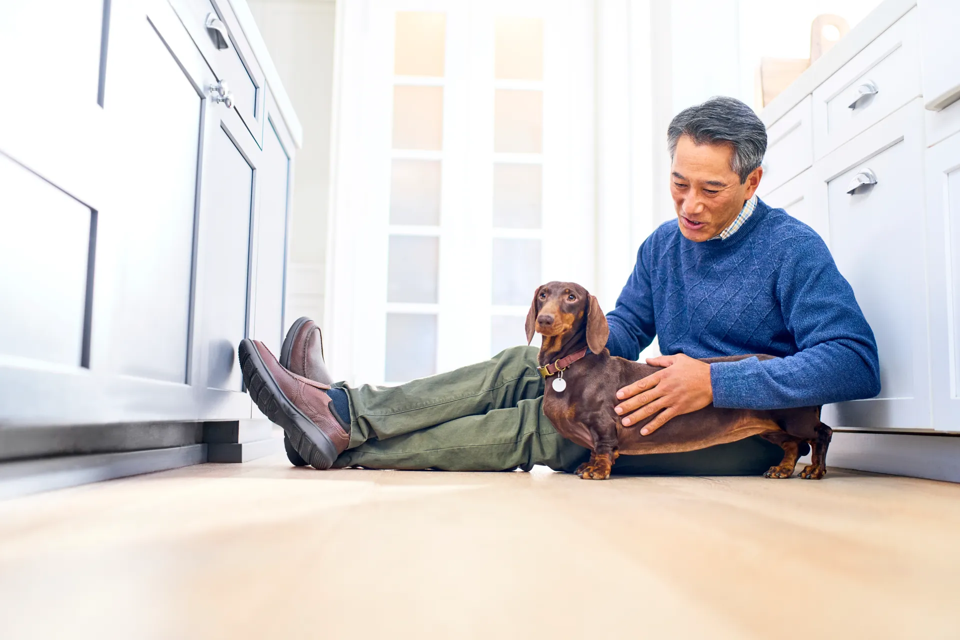 dog and owner