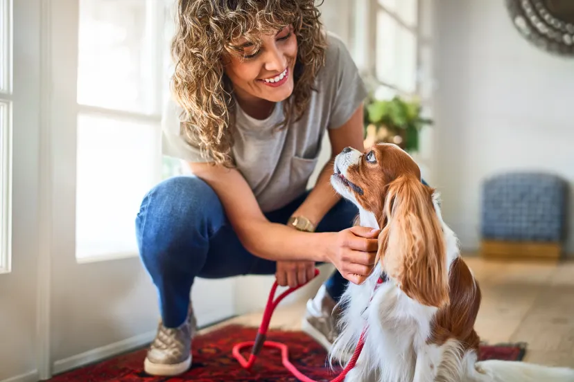 dog and owner