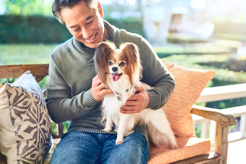 dog and owner