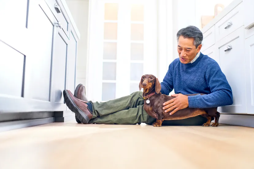 dog and owner