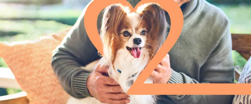 dog in heart